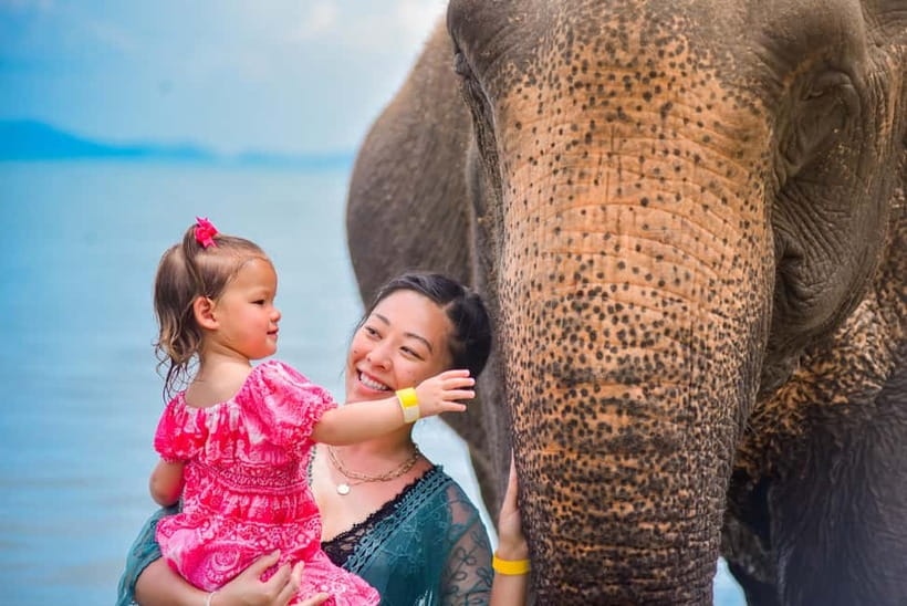 Phuket:Beach walk with elephants, rain & care. 2.5 hours - Sea bathing and the rain shower: yes, you get wet too
