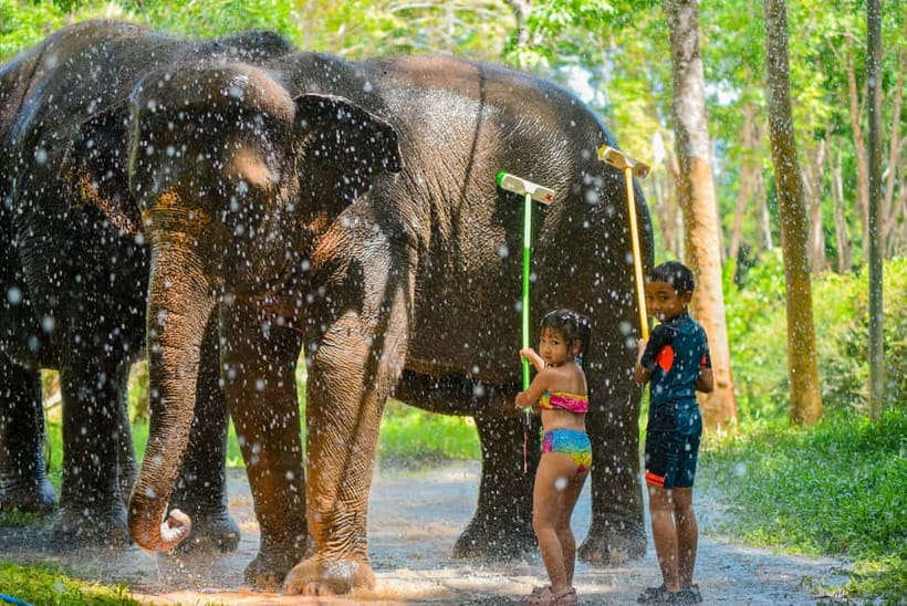 Phuket:Beach walk with elephants, rain & care. 2.5 hours - Facilities and comfort details that matter on a salty, wet day