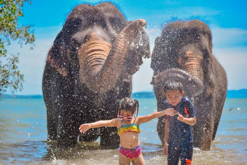 Phuket:Beach walk with elephants, rain & care. 2.5 hours - The private beach elephant walk and brushing: the “Phuket postcard” moment