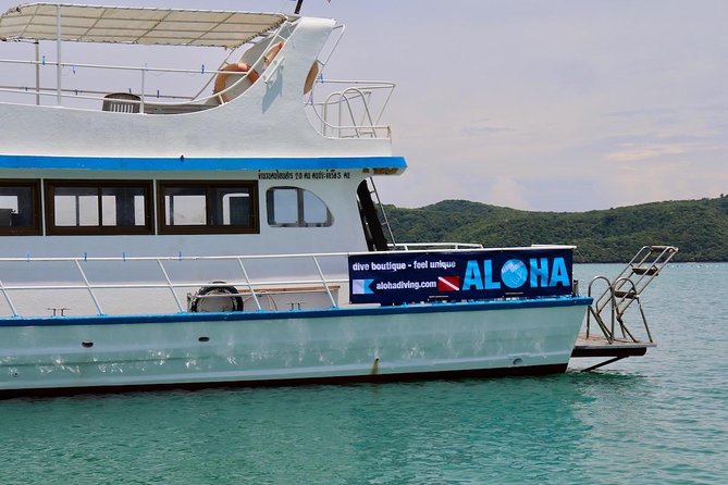 Premium Guided Scuba Diving Day Trip for Certified Divers - Small-group advantage: why your day feels more personal