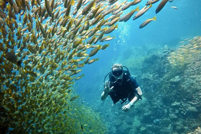 Premium Guided Scuba Diving Day Trip for Certified Divers - The Chalong start: timing, meeting point, and how the day flows