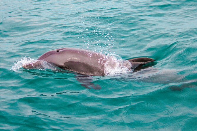 Private Boat Tour with Dolphin Spotting and Snorkelling from Phuket - Mai Ton and Snorkeling Rhythm: Why This Itinerary Feels Good