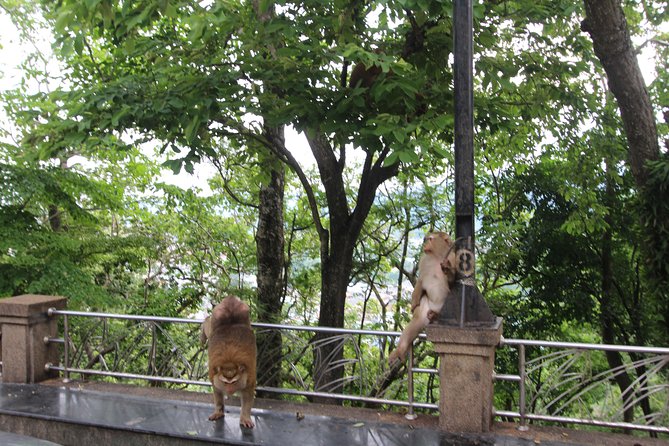 Private food Tour + Sightseeing +Thai Cooking class - Sightseeing with Buddhism and food-culture context