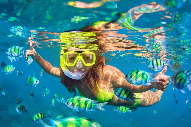 Private Phi Phi and Bamboo Islands Snorkeling Tour by Speedboat - Viking Cave and the Cave-Plus-Snorkel Combo