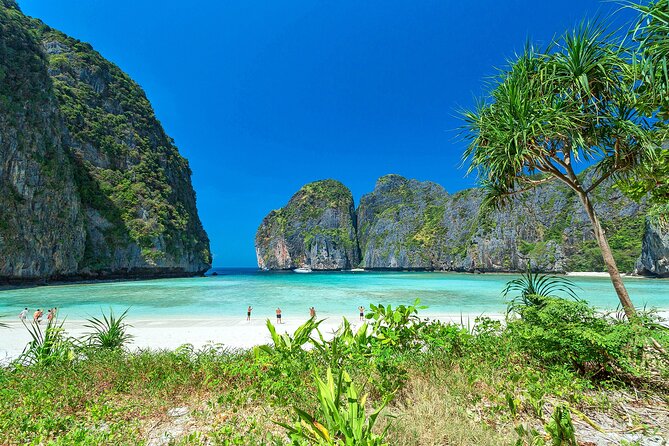 Private Phi Phi Islands & Bamboo Full Day Tour with snorkeling - Maya Bay: iconic cliffs, one focused hour, and photo-friendly pacing