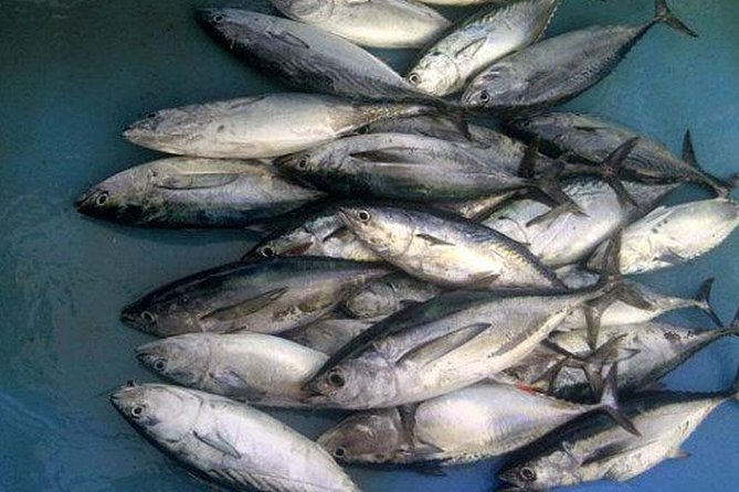 Racha Island Game Fishing & Trolling From Phuket - Weather, wind, and the real comfort level on board