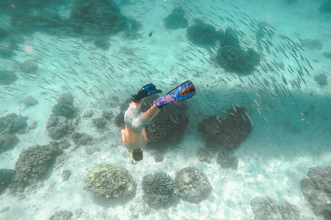 Raya Island / Mai Ton Island Private Boat Tour - Racha Yai (Koh Racha Yai): Siam Bay snorkeling at its best