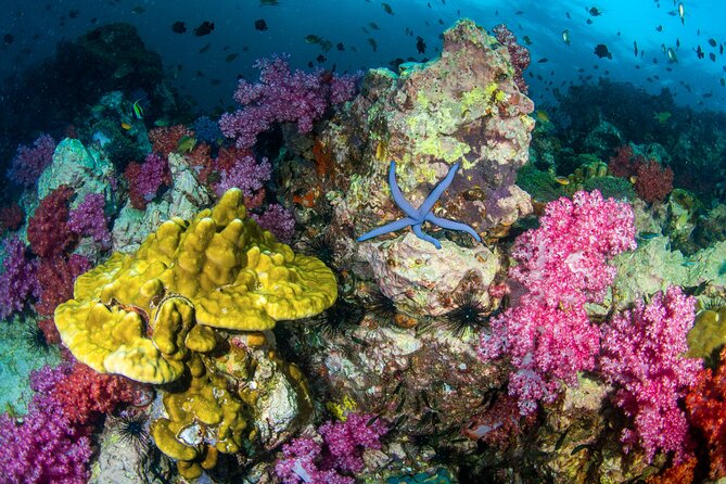 Scuba Diving Daytrip to Racha Yai - Price and value: why $90 can be fair (and where the extras hit)