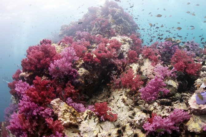 Scuba Diving in Phuket – Full-Day Trip (3 Dives, All Included) - Your route: Racha Islands, Phuket Marine Park, and Phi Phi area stops