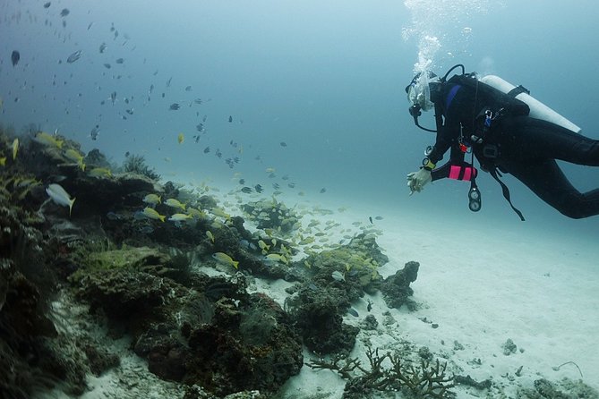 Scuba Diving in Phuket – Full-Day Trip (3 Dives, All Included) - The rhythm on the boat: briefings, 50-minute sessions, and feeling looked after