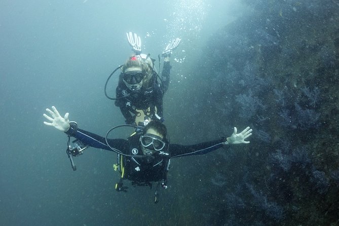 Scuba Diving in Phuket – Full-Day Trip (3 Dives, All Included) - Gear, comfort, and what to check before you step in