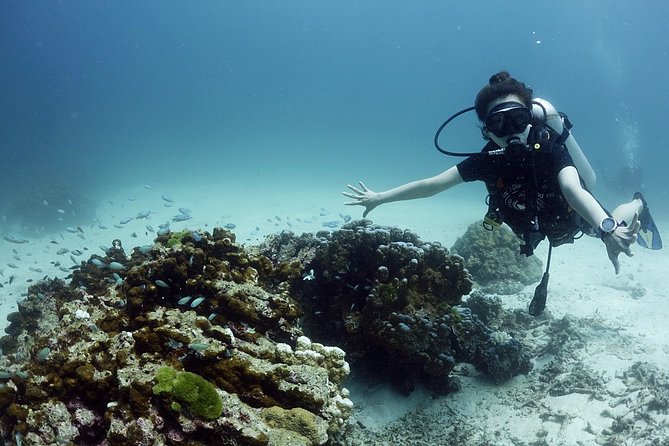 Scuba Diving in Phuket – Full-Day Trip (3 Dives, All Included) - Photos: how they happen and what you may pay for
