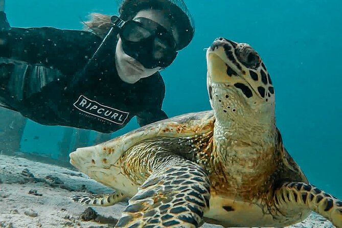 Similan Islands Private Tour - Why a private Similan day feels different from the usual Phuket boat trips