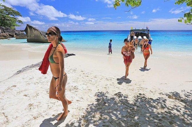 Similan Islands Snorkeling Day Trip By Love Andaman From Phuket - Crew, gear, and wildlife odds (including the turtle moment)