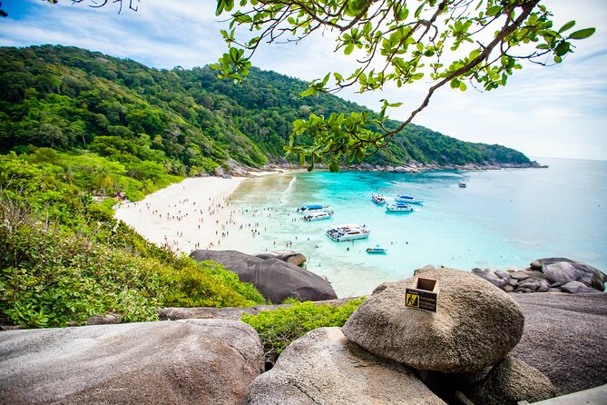 Similan Islands Snorkeling Tour By Seastar Andaman From Phuket - Koh Miang: island walking, snorkeling, and a Thai buffet lunch reset