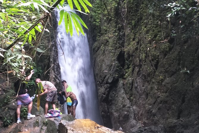 Small-Group Jungle Hiking Excursion in Khao Phra Teaw Park - Key highlights from this Phuket jungle excursion