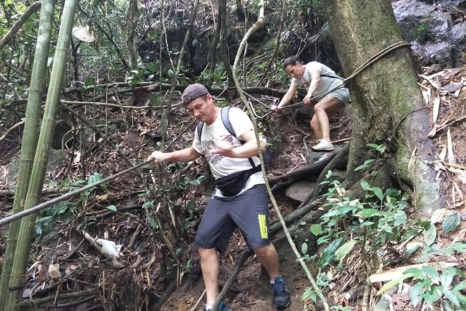 Small-Group Jungle Hiking Excursion in Khao Phra Teaw Park - Why Khao Phra Teaw feels like real Phuket rainforest