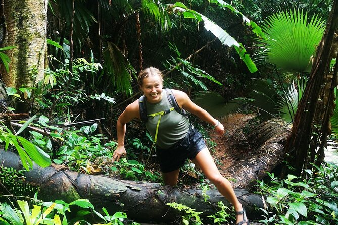 Small-Group Jungle Hiking Excursion in Khao Phra Teaw Park - Bang Pae waterfall: the big finish and the payoff