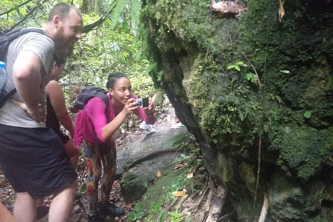 Small-Group Jungle Hiking Excursion in Khao Phra Teaw Park - Lunch that tastes local: Thai food after the hard part