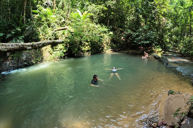 Small-Group Jungle Hiking Excursion in Khao Phra Teaw Park - Group size and guide style: small enough for a real day