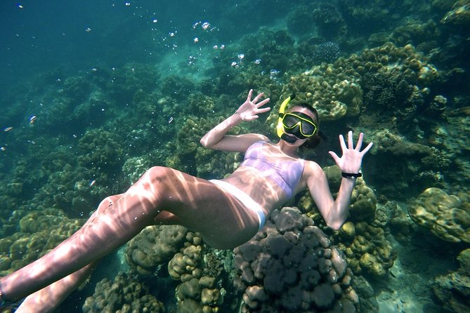 Small Groups of 20 people - Phi Phi & Bamboo Islands with Lunch - Price and what you really get for about $108