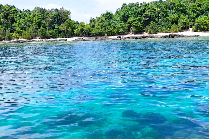 Sun & Sunset Dinner Cruise - Combine the best of both worlds - Two snorkeling stops: more chances to see fish
