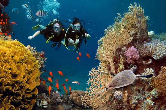 Try Scuba Diving in Racha Yai and Noi for Non-Certified - Key Highlights You’ll Care About
