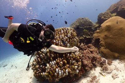Try Scuba Diving in Racha Yai and Noi for Non-Certified - Noi Reef Time: When Conditions Let You Get More Looking