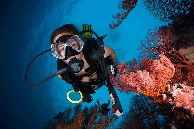 Try Scuba Diving in Racha Yai and Noi for Non-Certified - Guides Are the Real Quality Check: Kob, Tifany, Sam, Nat, Ohm, Saeed