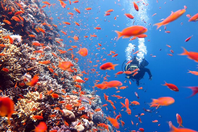 Try Scuba Diving in Racha Yai and Noi for Non-Certified - Price and Logistics: Is $174.95 Fair Value?