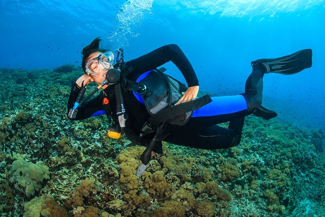 Try Scuba Diving in Racha Yai and Noi for Non-Certified - The Real Day-Plan: What Happens After You Board