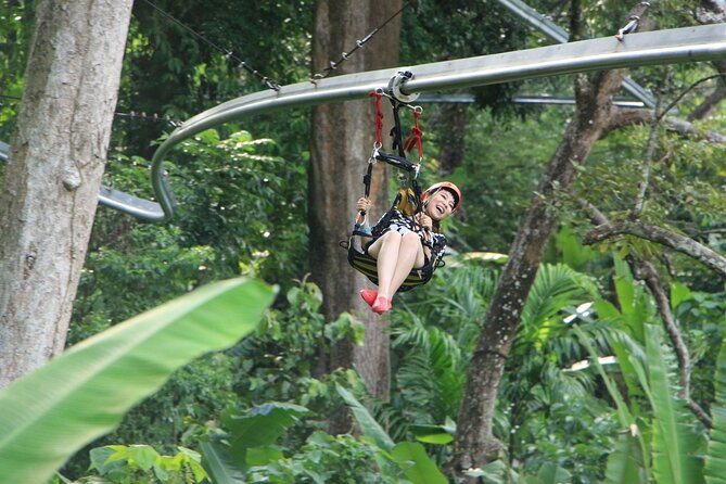 World B+ (Zipline 18 Platforms + Roller + Sky Walk with World Set Menu ) - The Roller Zipline Coaster: 800m of Curves and Speed
