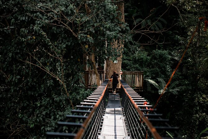 World B+ (Zipline 18 Platforms + Roller + Sky Walk with World Set Menu ) - Dual Zipline, Spiral Staircase, and the Park Flow